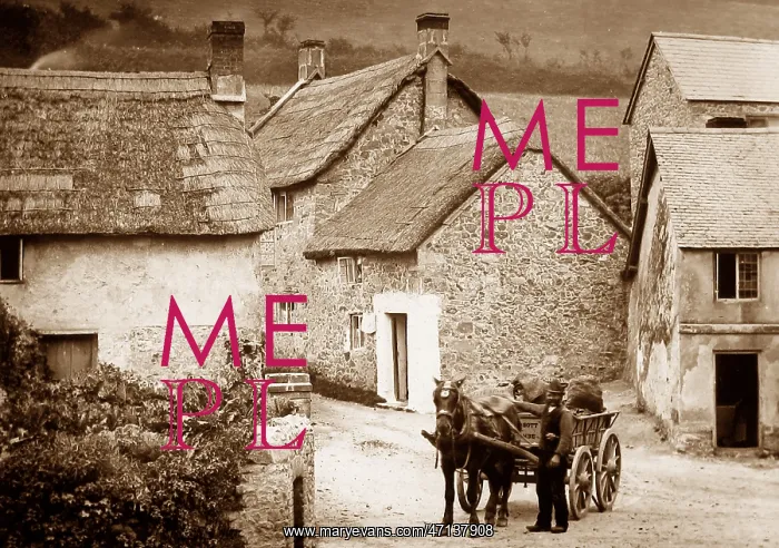  : Branscombe, Devon