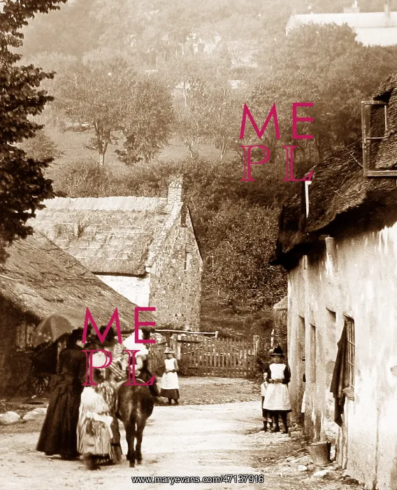  : Branscombe, Devon