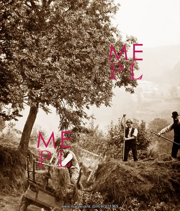  : Branscombe probably taken in 1888