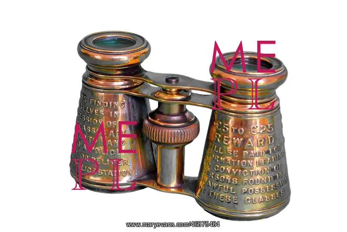 : Brass embossed binoculars : Brass embossed binoculars