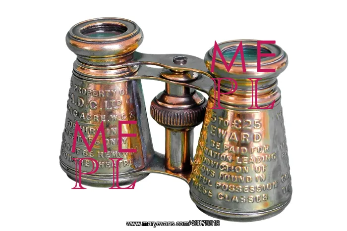 : Brass embossed binoculars : Brass embossed binoculars