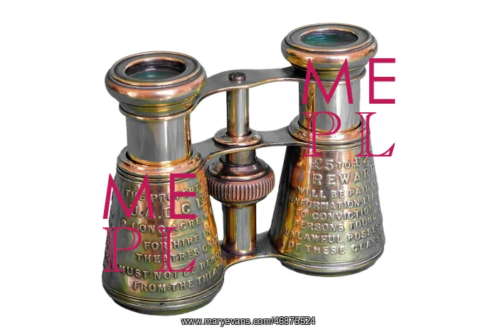 : Brass embossed binoculars : Brass embossed binoculars