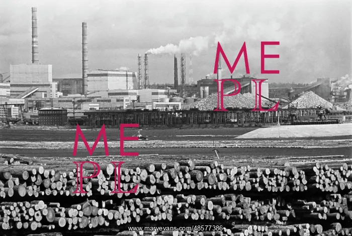 : Bratsk Timber Processing Complex : Bratsk Timber Processing Complex
