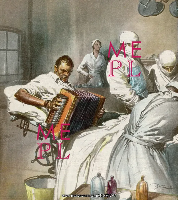 : BRAVE ACCORDEON PLAYER : BRAVE ACCORDEON PLAYER