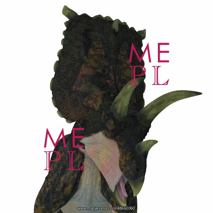 : Bravoceratops dinosaur head : Bravoceratops dinosaur head