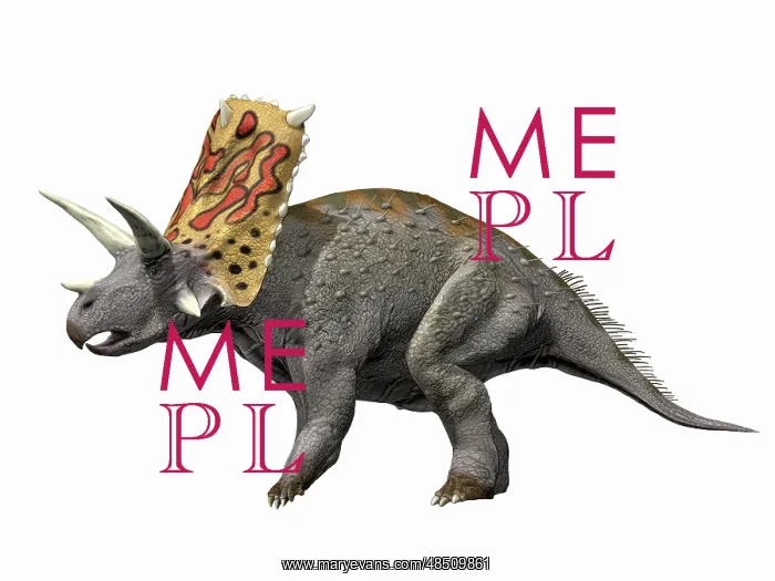: Bravoceratops polyphemus, Late Cretaceous of Texas : Bravoceratops polyphemus, Late Cretaceous of Texas