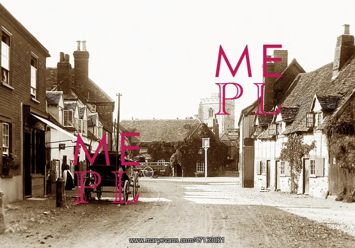  : Bray, Victorian period