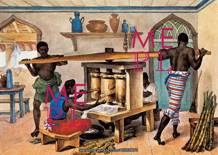  : Brazil (19th c