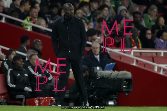  : Brazil v Senegal - International Friendly