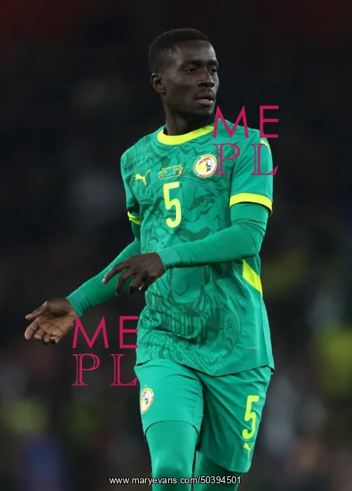 : Brazil v Senegal - International Friendly : Brazil v Senegal - International Friendly