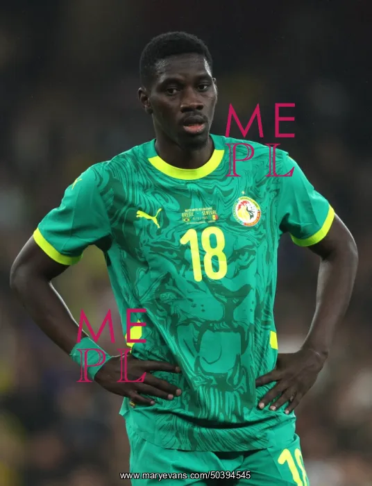 : Brazil v Senegal - International Friendly : Brazil v Senegal - International Friendly