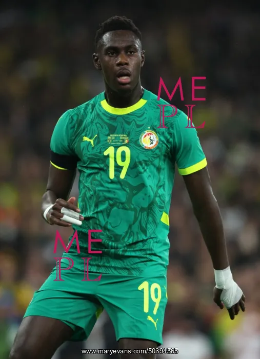 : Brazil v Senegal - International Friendly : Brazil v Senegal - International Friendly