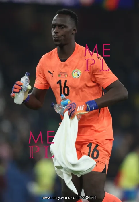 : Brazil v Senegal - International Friendly : Brazil v Senegal - International Friendly