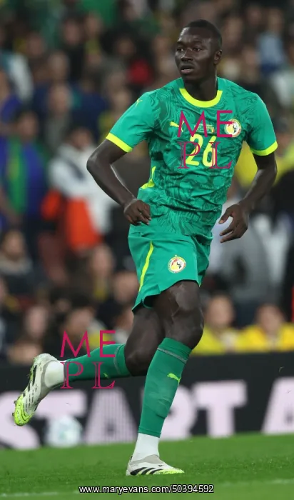 : Brazil v Senegal - International Friendly : Brazil v Senegal - International Friendly