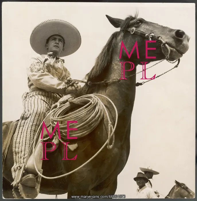 : BRAZILIAN GAUCHO : BRAZILIAN GAUCHO