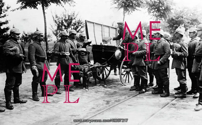 : Bread distribution to German troops in Belgium, 1915 : Bread distribution to German troops in Belgium, 1915