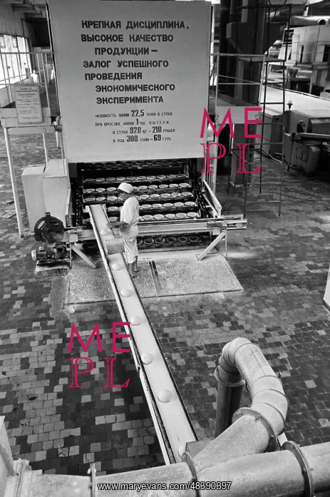 : Bread factory : Bread factory