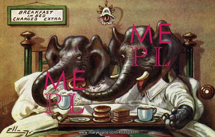 : Breakfast in bed : Breakfast in bed