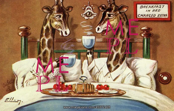 : Breakfast in bed : Breakfast in bed