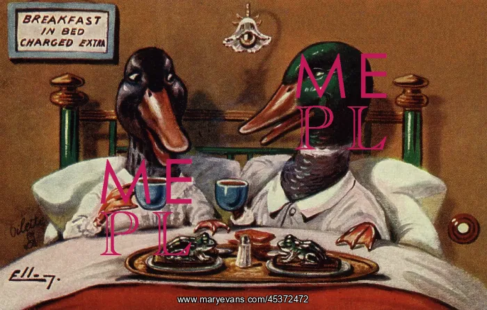 : Breakfast in bed : Breakfast in bed