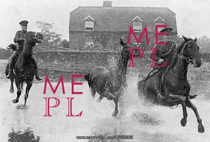 : Breaking in colts for the Army, WW1 : Breaking in colts for the Army, WW1