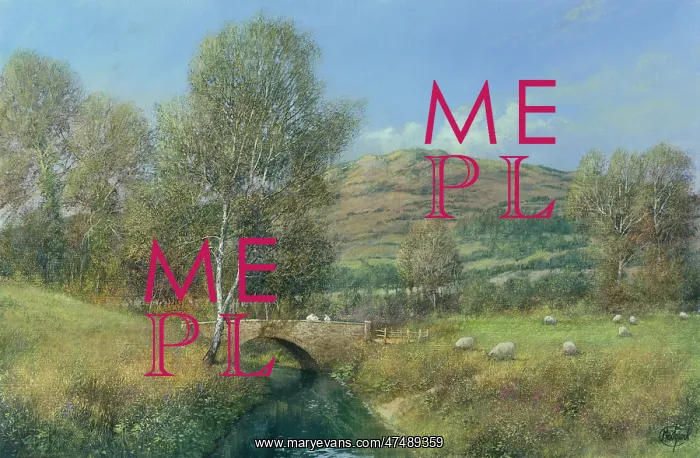  : Brecon Beacons – with bridge & sheep