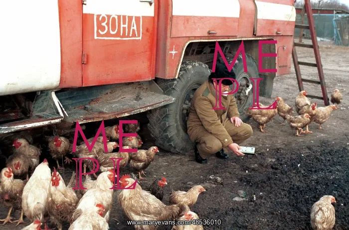 : Breeding broilers near Chernobyl Nuclear Power : Breeding broilers near Chernobyl Nuclear Power