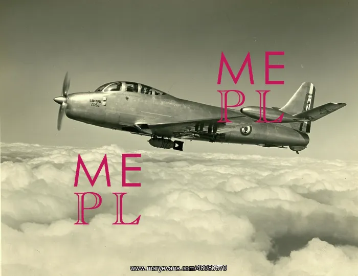 : Breguet Br960 Vultur : Breguet Br960 Vultur