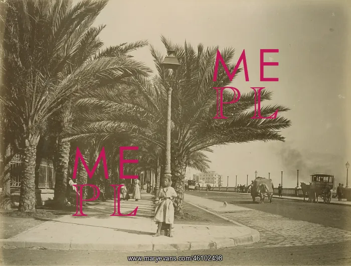 : Brenon Square. Algiers. Algeria. Journey to : Brenon Square. Algiers. Algeria. Journey to