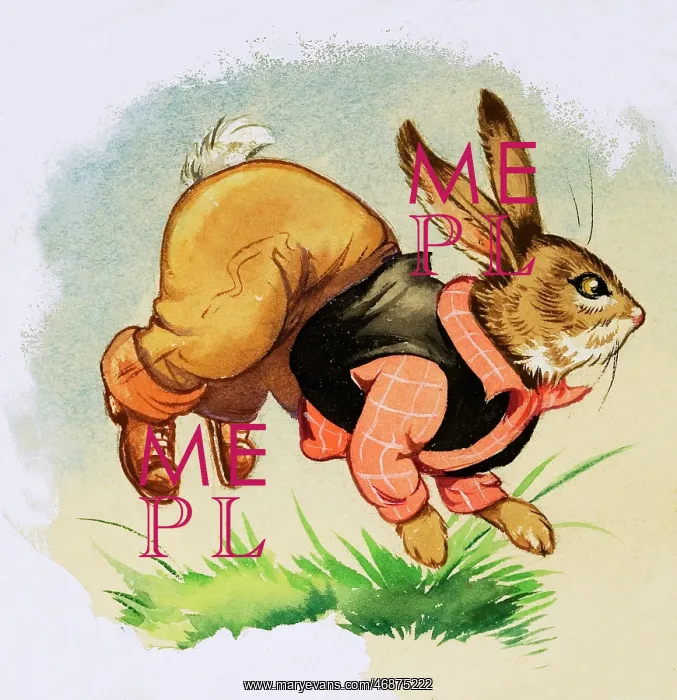  : Brer Rabbit