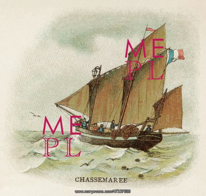 : Breton Chasse-Maree : Breton Chasse-Maree