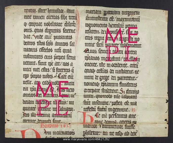 : Breviary (Fragment) : Breviary (Fragment)
