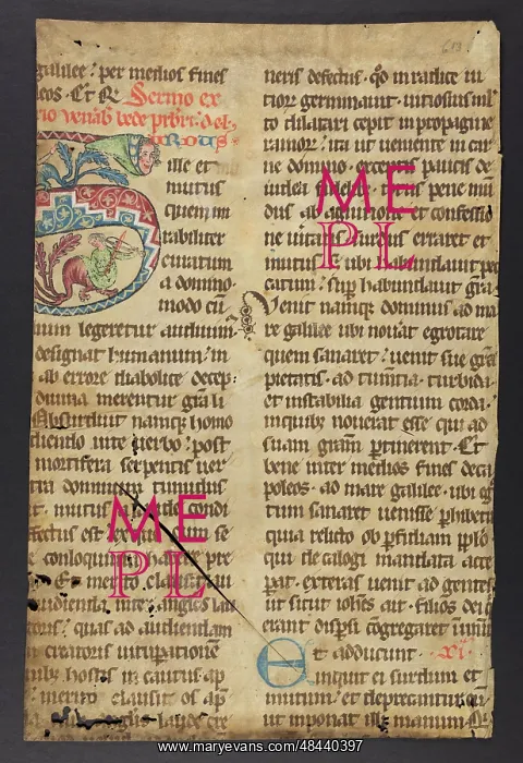 : Breviary (Fragment) : Breviary (Fragment)