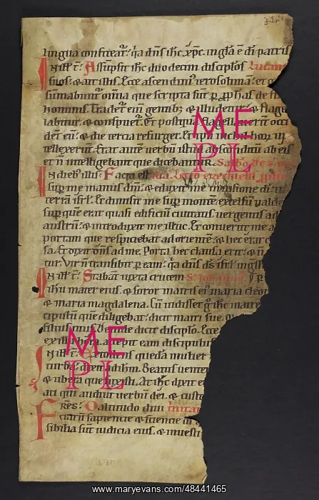 : Breviary (Fragment) : Breviary (Fragment)