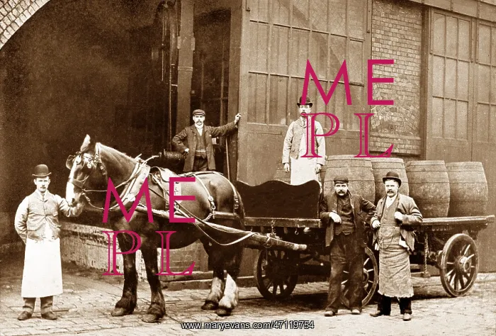  : Brewery Dray early 1900s