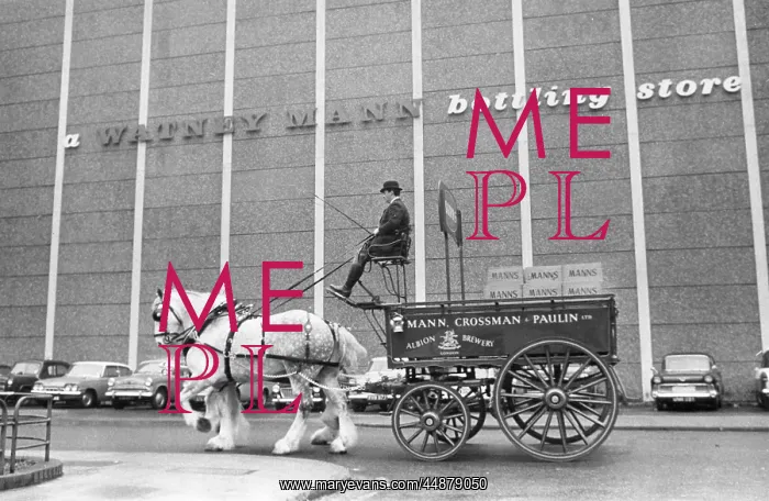 : BREWERY HORSE & CART : BREWERY HORSE & CART