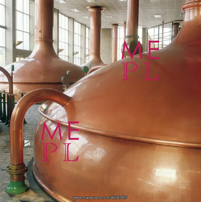 : Brewery Schwechat near Vienna : Brewery Schwechat near Vienna