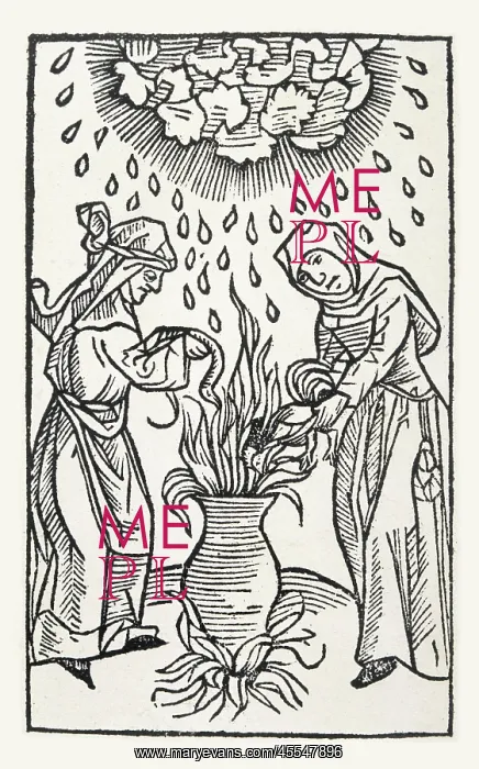  : Brewing a Potion