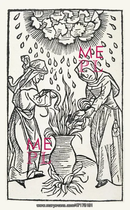  : Brewing a Potion