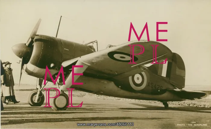 : Brewster Buffalo I AS426 : Brewster Buffalo I AS426