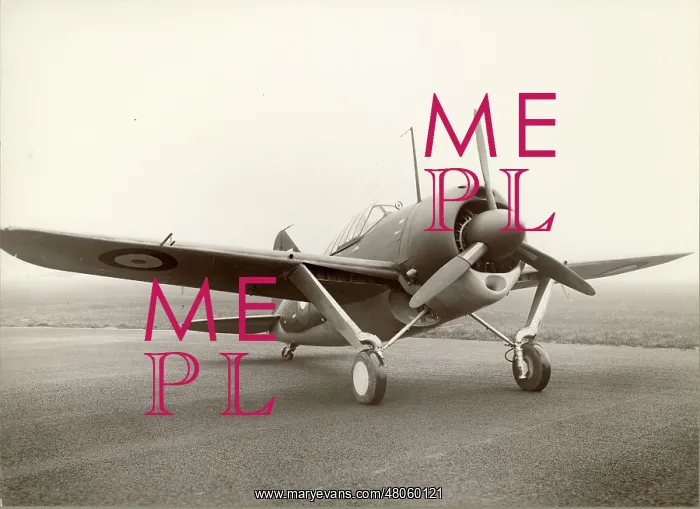 : Brewster Buffalo I AS426 : Brewster Buffalo I AS426