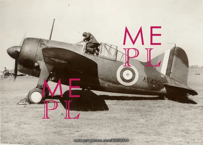 : Brewster Buffalo I AS430 : Brewster Buffalo I AS430