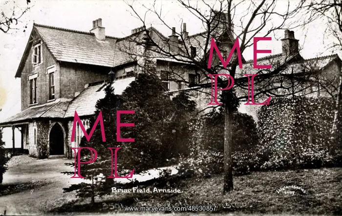 : Briar Field, Arnside, Lancashire : Briar Field, Arnside, Lancashire