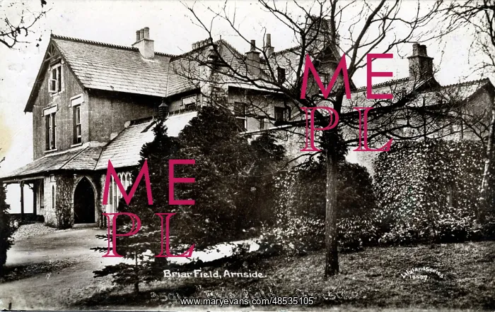 : Briar Field, Arnside, Lancashire : Briar Field, Arnside, Lancashire