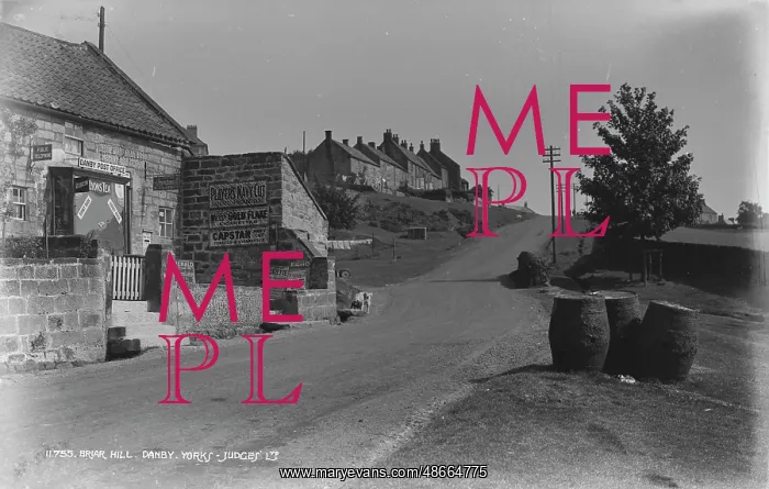 : Briar Hill, Danby : Briar Hill, Danby