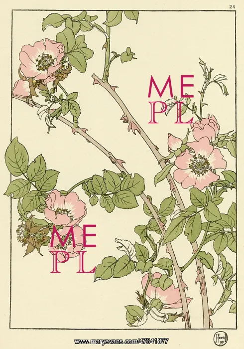 : Briar Rose : Briar Rose