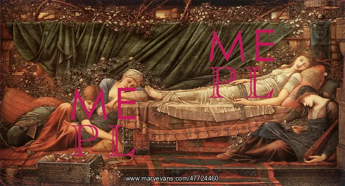  : The Briar Rose - The Sleeping Princess, by Burne-Jones