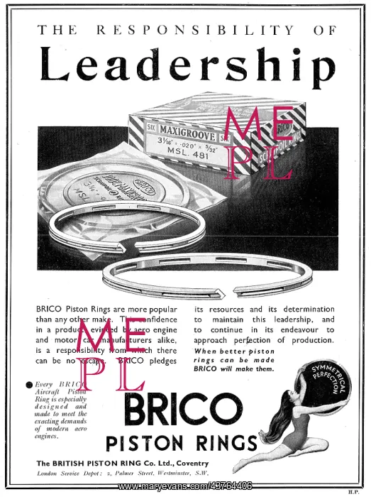  : Brico Piston Rings