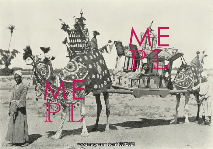  : Bridal Coach - Souvenir of Egypt, 1898