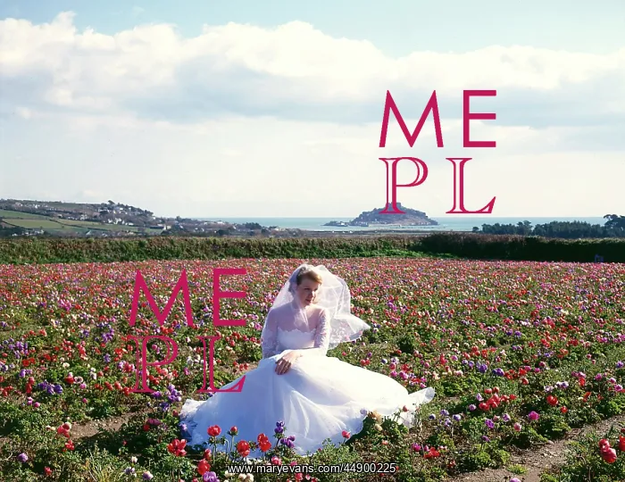 : Bride, anemones, St Michael's Mount, Marazion, Cornwall : Bride, anemones, St Michael's Mount, Marazion, Cornwall
